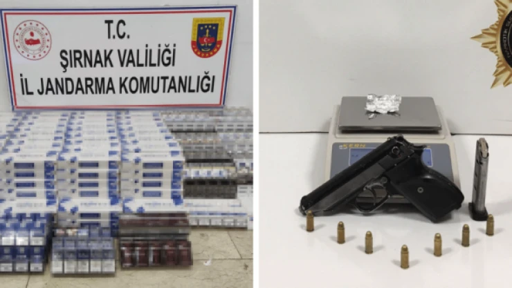 Şırnak'ta terörün finans kaynaklarına operasyon: 87 gözaltı