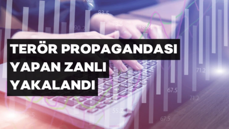 Terör propagandası yapan zanlı yakalandı
