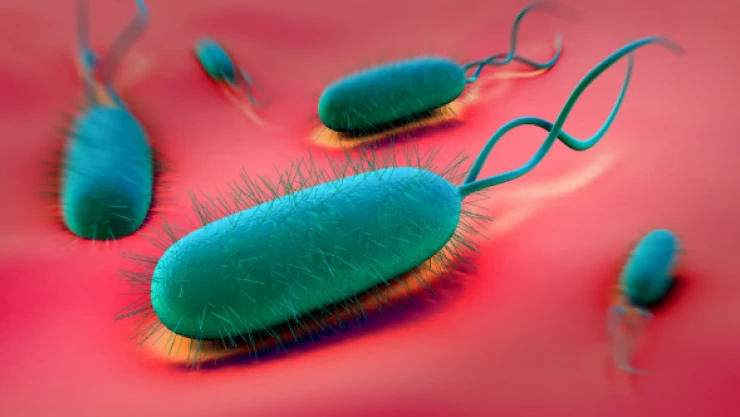 Cinsel yolla bulaşan o hastalık hızla artıyor!