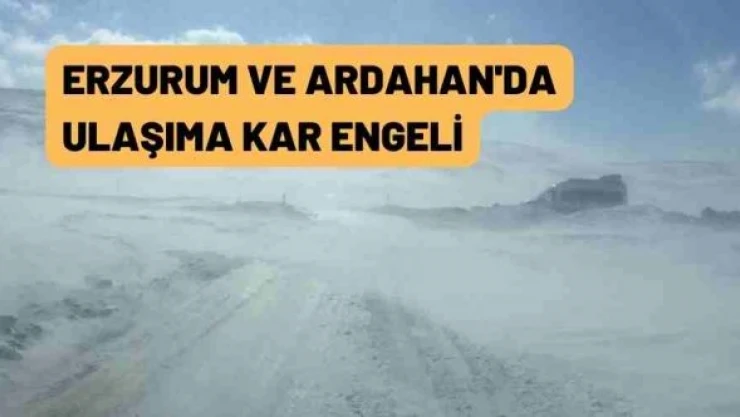 Erzurum ve Ardahan'da yollar kapandı