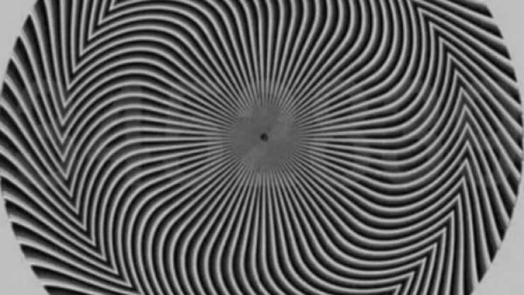 Hangi rakamları görüyorsunuz?