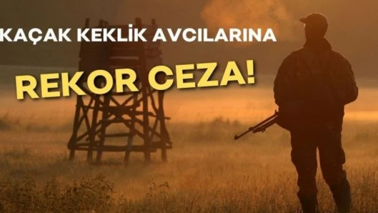 Kaçak keklik avcılarına rekor ceza!