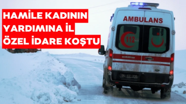 Ağrı'da Türk filmlerini aratmayan çalışma... Hamile kadını kurtardılar...