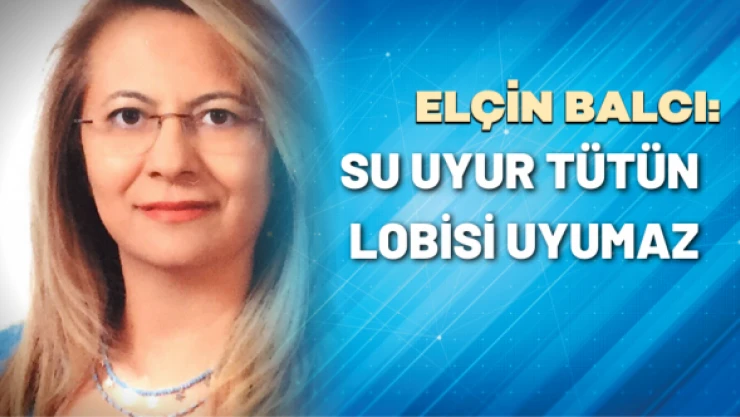 Su uyur tütün lobisi uyumaz