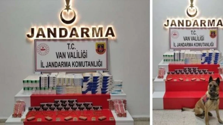 Van'da gümrük kaçağı mermi ve ilaç ele geçirildi