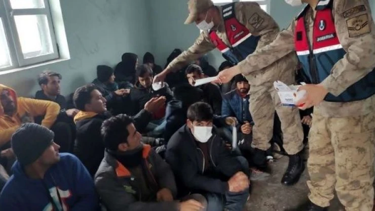 Bitlis'te balık istifi göçmen kaçakçılığı!