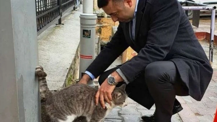 Keban Kaymakamlığın sokak hayvanlarını unutmadı