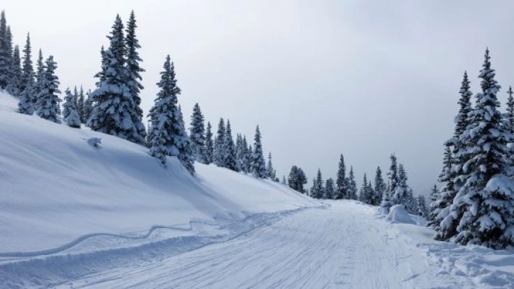 Muş ve Bitlis'te yollar kapandı