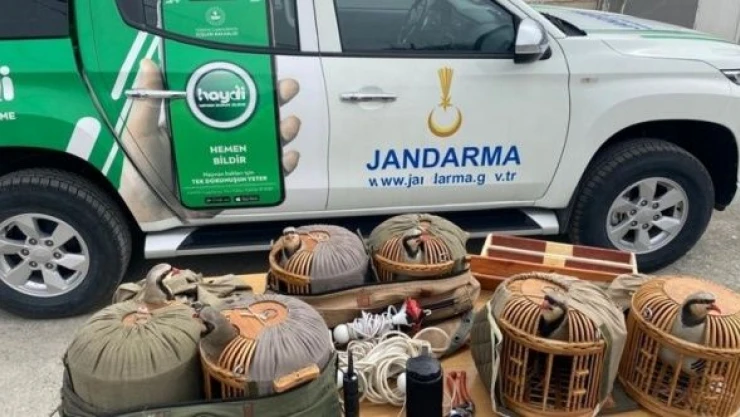 Iğdır'da kaçak avcılığa rekor ceza!