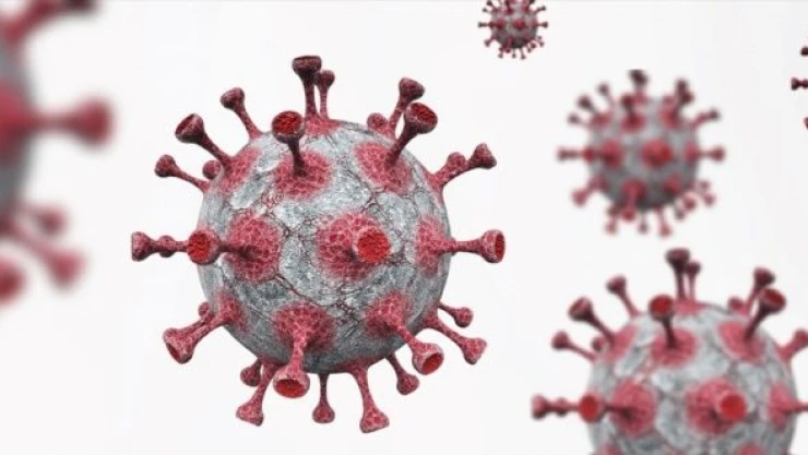 Maymun çiçeği hızla yayılıyor