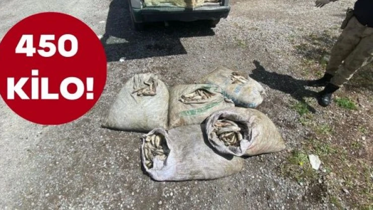 Van'da kaçak inci kefali operasyonu!