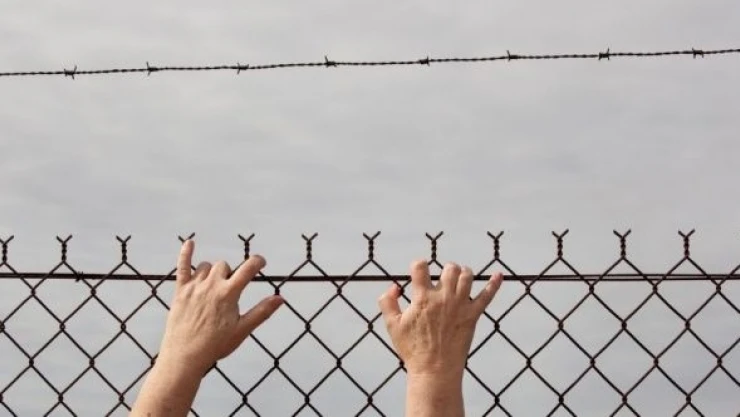 Van'da 48 Afgan yakalandı