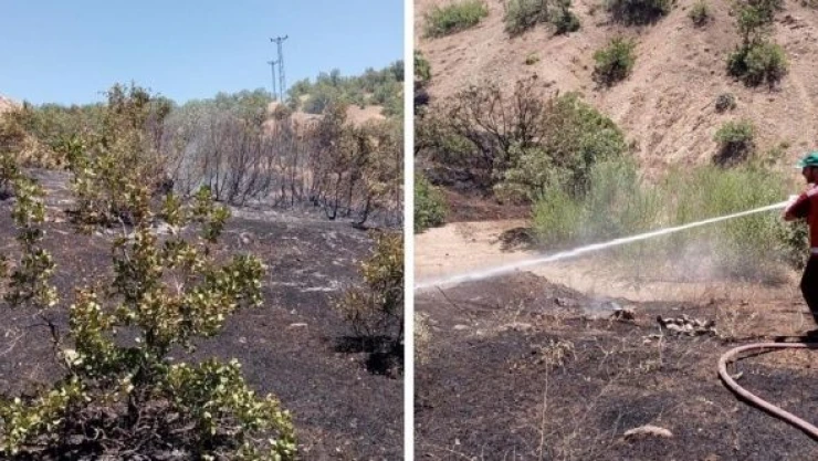 Bingöl'de orman yangını!