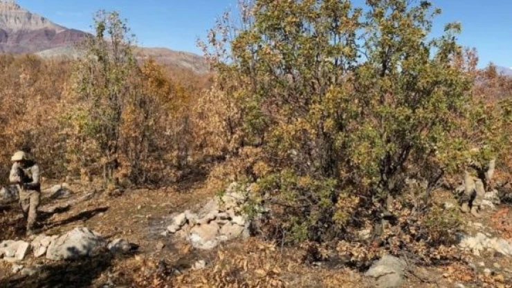 Bitlis'te Eren Abluka-24 operasyonu başlatıldı