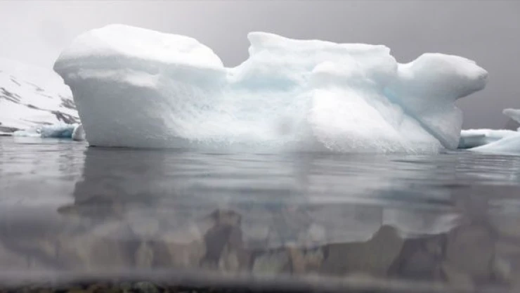 Antarktika'dan kötü haber