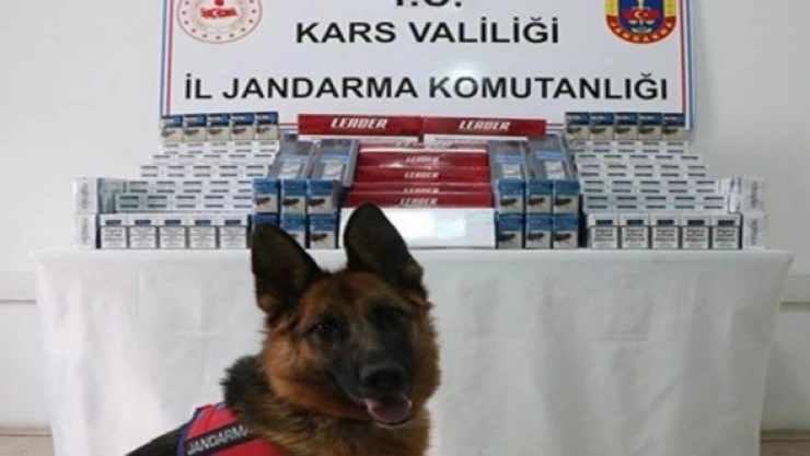 Kars'ta binlerce paket bandrolsüz sigara ele geçirildi