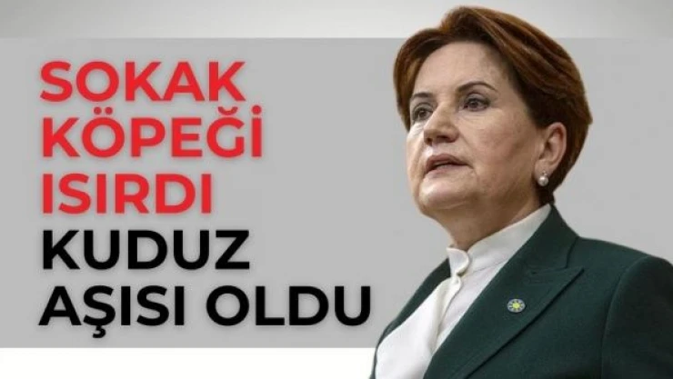Meral Akşener'i sokak köpeği ısırdı... Kuduz aşısı oldu