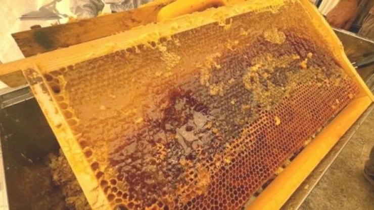 Tunceli'de '23. Geleneksel Bal Festivali' yapıldı