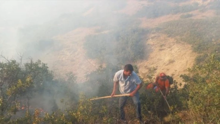 Tunceli yanıyor