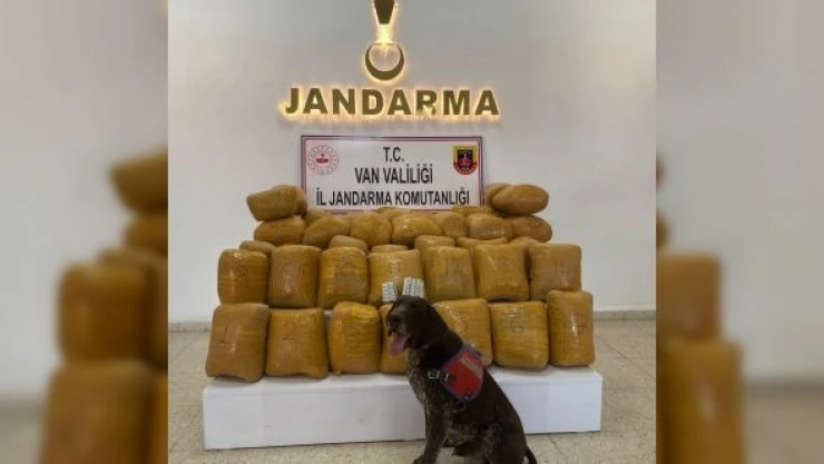 Van'da kayalıklara gizlenmiş 200 kilogram esrar ele geçirildi