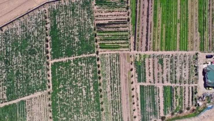 Ağrı'nın bostanlarından verim fışkırıyor