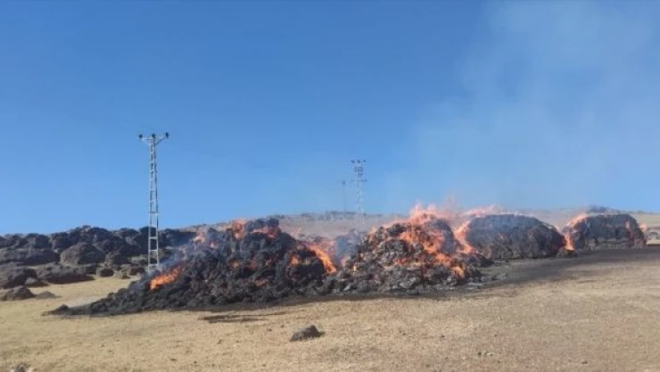 Ağrı'da 5 bin balya ot küle döndü