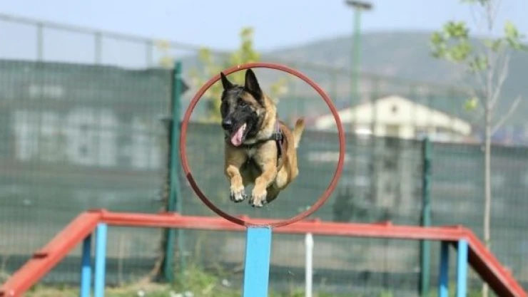 Bingöl'de  'Ezber' uyuşturucuya geçit vermiyor