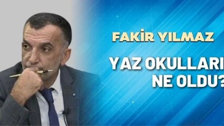 Gazeteci Fakir Yılmaz yazdı: Yaz okulları ne oldu?