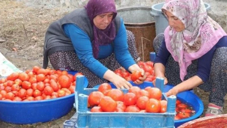 Hakkari'de salça kazanları kaynıyor!