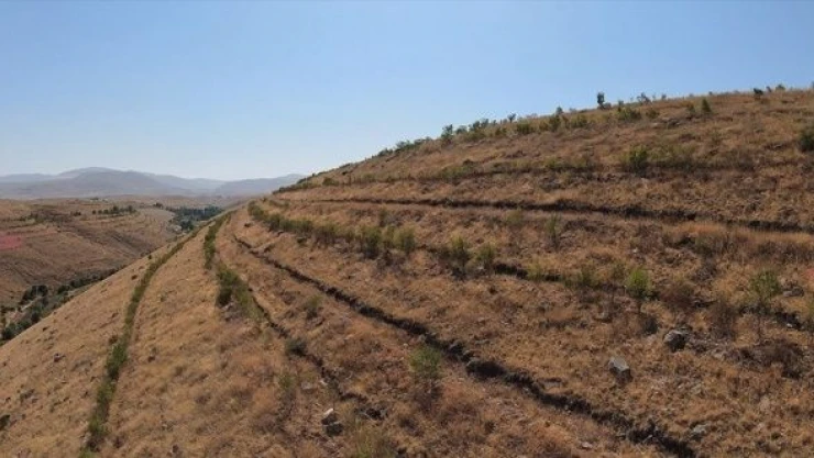 Iğdır'da erozyonla mücadele çalışmaları başladı