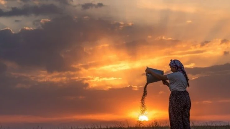 Karslı kadınların 'tahıl savurma' mesaisi başladı