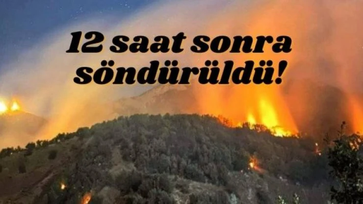 Munzur Vadisi Milli Parkı'ndaki yangın söndürüldü