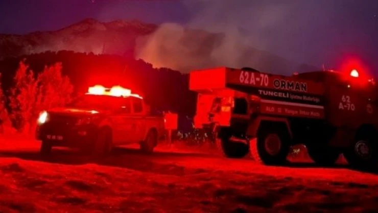 Ovacık'ta orman yangını çıktı