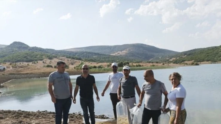 Günboğazı Göleti'ne 100 bin pullu sazan yavrusu bırakıldı