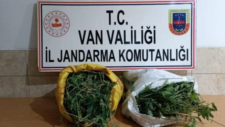 Van'da kubar esrar operasyonu!