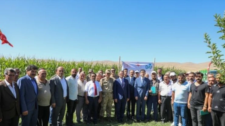 Van'da devlet destekli mısır hasadı başladı