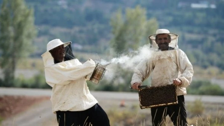 Bingöl'de arıcı çift, ürettiği balı 3 ülkeye gönderiyor