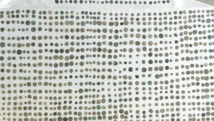 Ardahan'da bin 114 sikke ele geçirildi