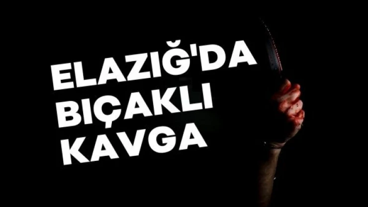 Elazığ'da parkta bıçaklı kavga