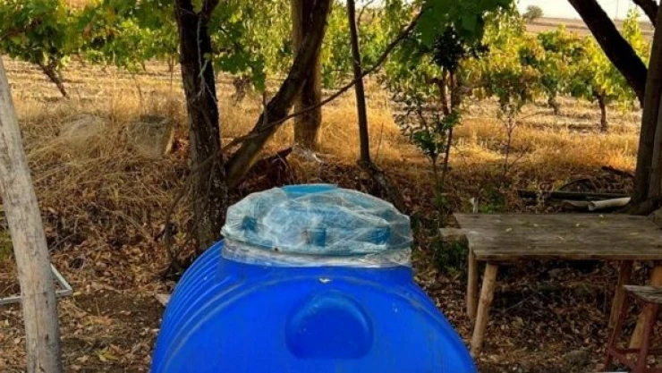 Elazığ'da üzüm bağında şarap operasyonu!