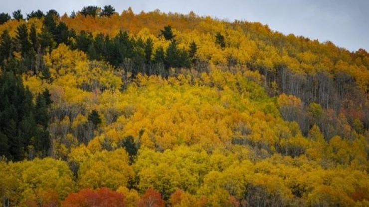 Erzurum'un dağlarına sonbahar geldi