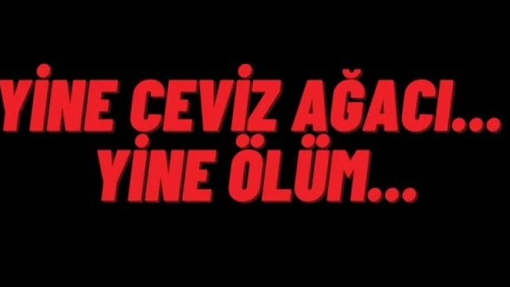 Hakkari'den sonra Bingöl'de... Ölümün böylesi...