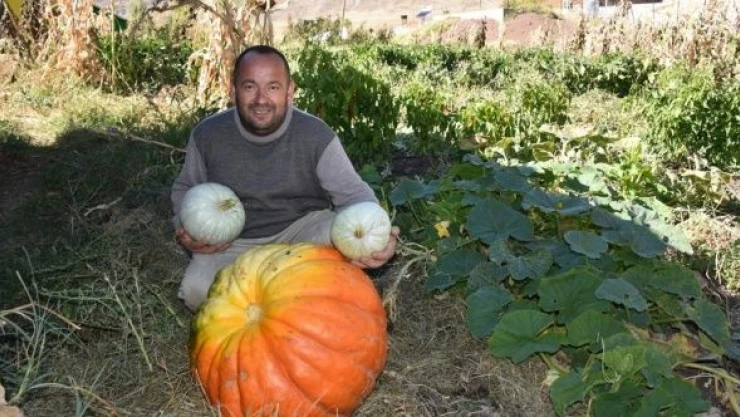 Hakkarili çiftçi 100 kilogramlık bal kabağı yetiştirdi