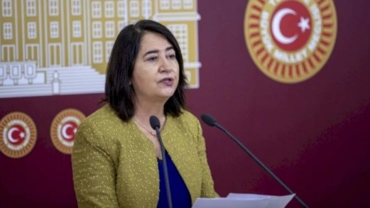 HDP'li Pekgözegü: &quotSaddam'dan farkınız kalmadı"