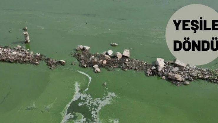 Kars Baraj Gölü yeşile büründü