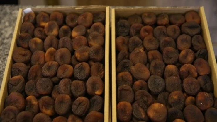 113 ülke kuru kayısıda Malatya'yı tercih etti