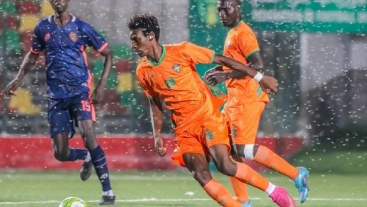 Moritanya'da stadyumdaki maçı böcekler bastı !