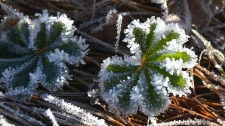 Sarıkamış resmen buz tuttu