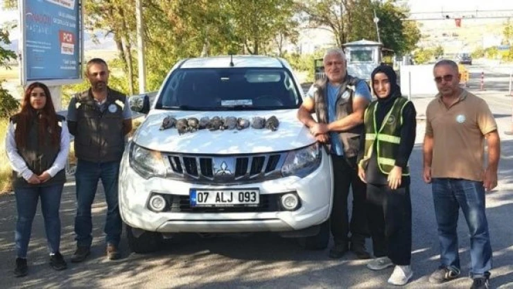 Tunceli'de kaçak keklik avcılarına rekor ceza!
