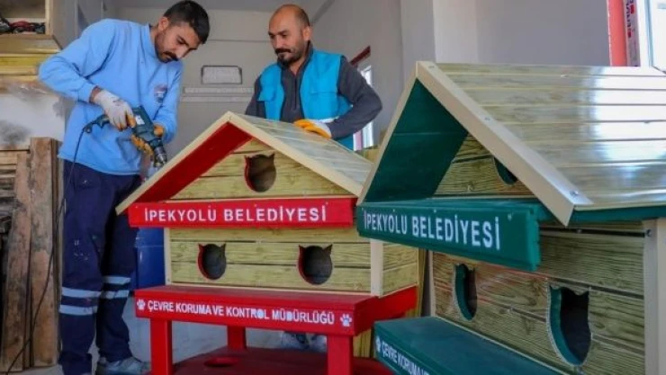 Van'da eski bozuk para kasaları hayvanlara yuva oluyor